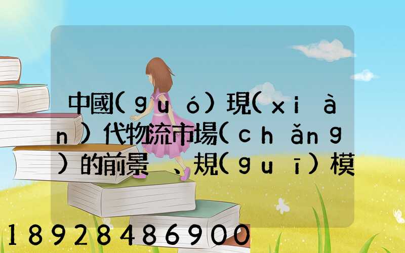 中國(guó)現(xiàn)代物流市場(chǎng)的前景、規(guī)模以及成就。
